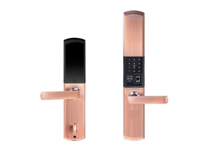 指纹刷卡密码锁